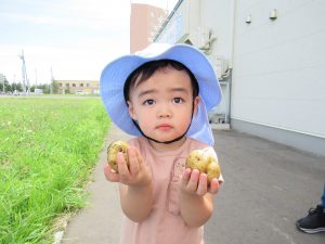 野菜植え